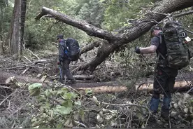 长白山惊现千年火山溶洞图片