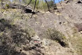 最全武夷岩茶品种名称～（推荐收藏）图片