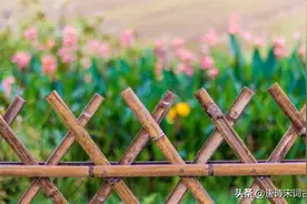 10首立夏诗词，送你一夏清凉图片