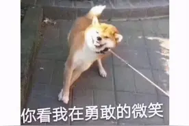 最长寿的国产游戏之一？靠三个大招活了14年，熬死无数大作图片