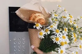 背景图 ‖ 花花世界不必当真图片