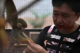 为什么没人去惹于谦？图片