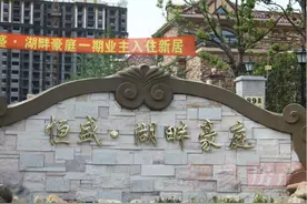 奉贤新城“上海之鱼”板块分析图片