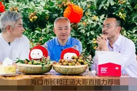 海口火山荔枝王上市了图片