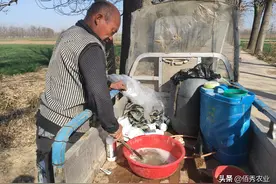 传统“王牌”杀菌剂多菌灵，怎样混配效果显著，使用时要注意什么图片