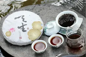 云南四大茶厂，所对应的普洱茶品牌，哪个是你的最爱？图片