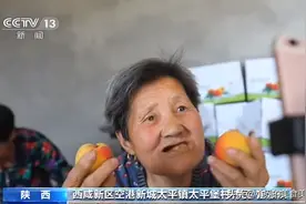 陕西八旬老奶奶带货直播，无意间成“网红”，网友：老奶奶好可爱图片