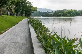离深圳市区最近的最后一块净土——麒麟山疗养院图片