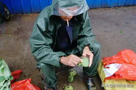 25年前，四十六岁的养父，把我这个“弃婴”捡回家图片