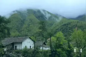 咸笋干蒸腊肉 一种乡愁图片