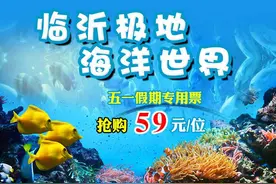 临沂极地海洋世界五一特惠，门票仅59元，假期一起来这里放肆嗨玩吧！！！图片