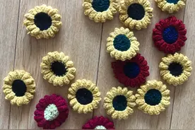 旧毛线不要丢，钩编成坐垫靠垫，美翻啦图片