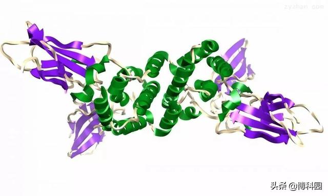 太好了，利用中子晶体学：揭示了氧化酶蛋白的高分辨率结构细节
