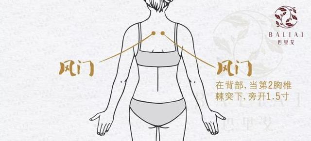 拔罐穴位图(背部拔罐的正确位置图)-金旺女性时尚