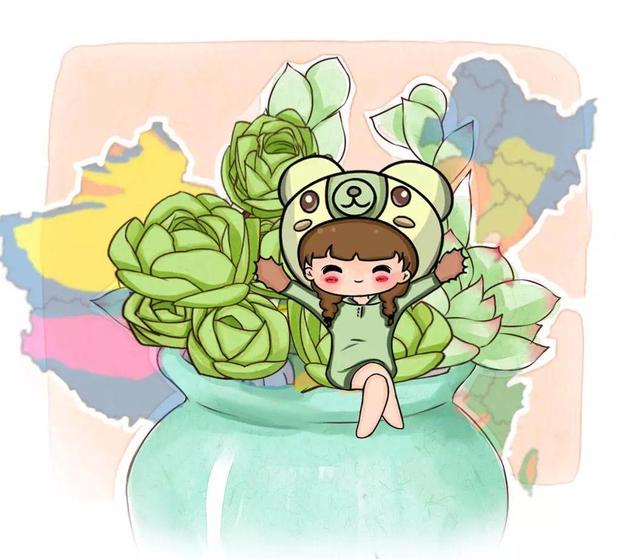 多肉防死6大招,学会养成土肥圆,越老越值钱