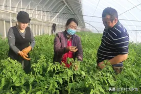 施用尿素大多数人用错了，难怪效果不好，这几个禁忌不能不知图片