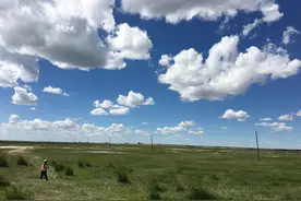 大伯宰羊记：发誓要吃肉犒劳自己，真正吃到嘴里的只剩下了羊下水图片