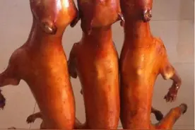 夏至节大家一起去玉林吃狗肉吧图片