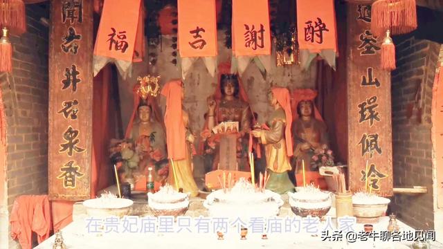 杨贵妃是不是广西容县人？山西陕西四川河南表示不服， 去探查