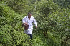 村医补助金为何只能按年发放？聊城市卫健委：从2021年下半年开始按月发放图片