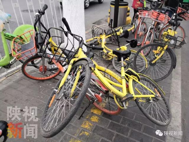 小编亲测ofo小黄车退款方式！再等586天就可以拿到押金了！