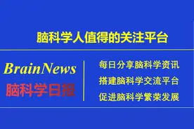 脑科学日报：如何更好地了解神经元的连接细节？图片