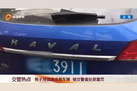 安徽芜湖 男子用油漆涂刷车牌  被交警查处获重罚图片