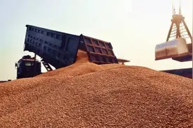 我国储备的粮食够吃多少年?产量能够满足需求吗？图片