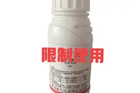 毒死蜱为何被限制使用？菜农必须要知道，否则要吃亏图片