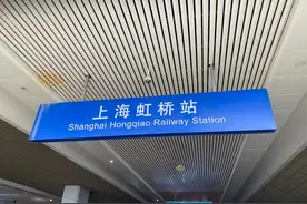 我的上海嘉兴三日游图片