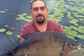 养殖鳊鱼需要哪些方法和技术呢？掌握这几点，一定会有个好的收获图片