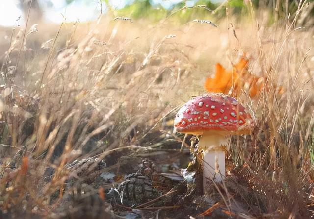 2021年“最热门护肤成分”出炉，排名第一的竟然是禁用成分