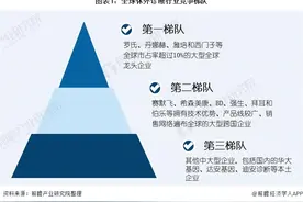 「行业深度」洞察2021：全球体外诊断行业竞争格局及市场份额图片