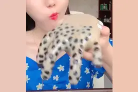 调查｜哗众取宠辣眼睛！“大胃王”转型吃得怪，还虐宠物敛财图片