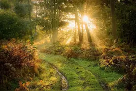 同事说没效果，我为什么还一直坚持去这位医生那儿扎银针医手疼？图片