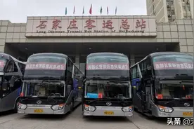 西部长青惠民旅游直通车来了，从“家门口”一站到景区图片