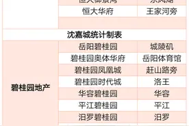 岳阳市房地产企业(国内名企和本土房企)开发项目一览表图片