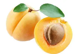 李子和杏子，一下子就把人酸清醒了！图片