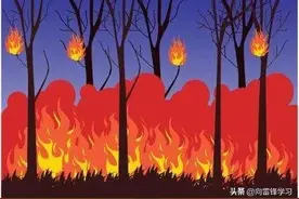 防患未“燃”，森林防火灭火演练走起！图片
