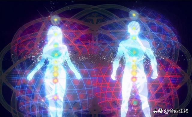 后生元—是什么？比益生菌好在哪里？