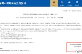 划重点！深圳未来户籍人口将稳定增长，而且是高质量增长图片