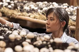 中国导演们！求求你们学学正午阳光怎么拍“大女主”吧图片
