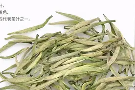 识茶：黄茶代表茶君山银针，为何千金难买？图片