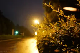 我最大的遗憾，就是你图片