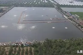 浅谈，华北最大黑坑“天津静海花园”之旅，给钓友们一个参考价值图片