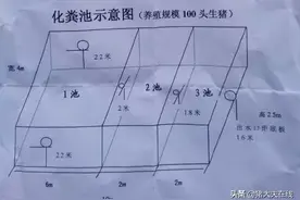 养殖规模100头生猪化粪池示意图 值得参考图片