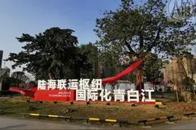 青白江“藏龙”“卧虎”，还有“凤祥”之地，你知道吗？图片