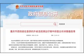 全面扑杀！重庆排查出非洲猪瘟疫情图片