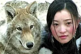 2010年，一位成都女孩把一匹狼当儿子带回家，10年后在草原再相认图片