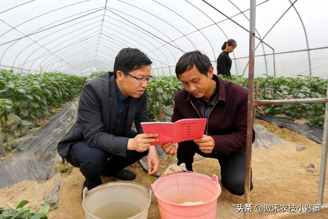 腐植酸、氨基酸、海藻酸、鱼蛋白，都是啥肥料？都有啥作用？